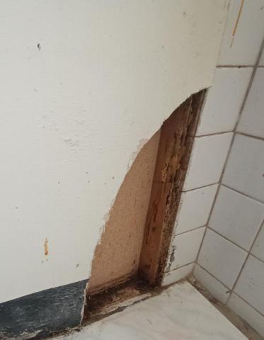 玄順環衛 | 台中除蟲/白蟻/精密規管 - 【玄順環衛｜台中白蟻防治】
​診斷： 台中住宅與倉庫白蟻路徑精準定位。
​技術： 誘引監測、根源消除，拒絕盲目噴灑。
​安全： 寵物友善、低敏無毒，嚴選合規藥劑。
​規格： 對接 HACCP / ISO 22000 食安級環境消毒標準。