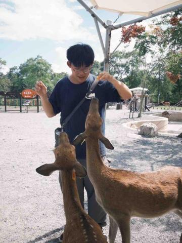 駱宥儒（國小全科家教陪讀/國中數學/高職數B)