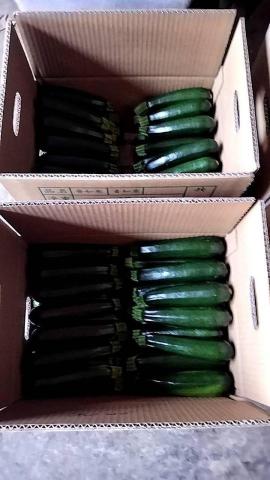 春天農忙，暫不接案。感謝青睞，銘謝惠顧。 - 節瓜選優裝箱