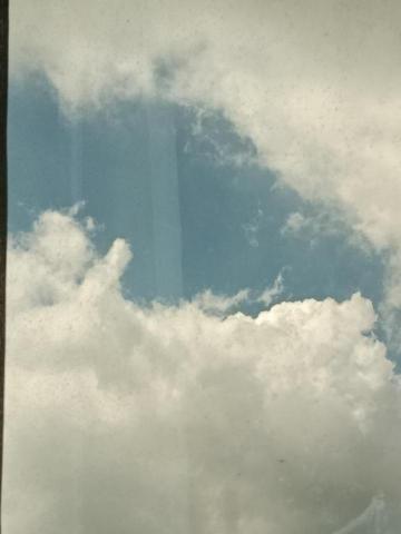 提供籃球網服務的專家李依靜