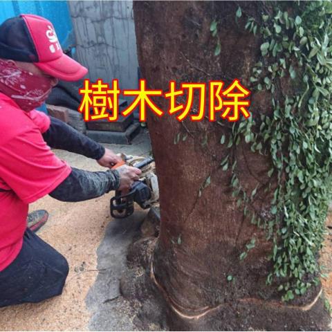 國王園藝社 劉阿嘎 - 國王園藝社