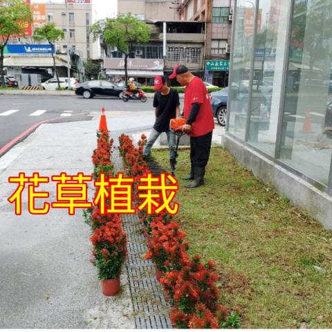 國王園藝社 劉阿嘎 - 