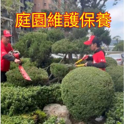 國王園藝社 劉阿嘎 - 