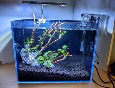 海盜水族代購 - 簡易魚缸造景範例