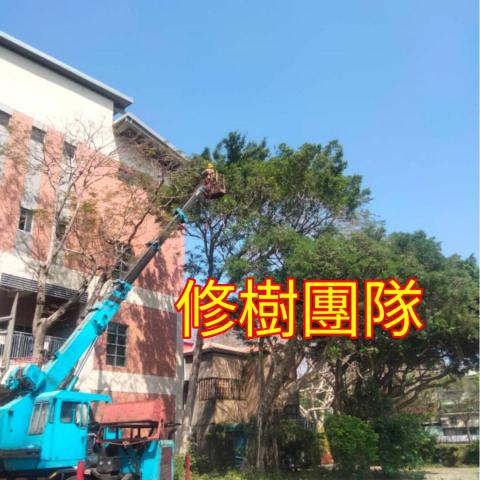 國王園藝社 劉阿嘎 - 國王園藝社