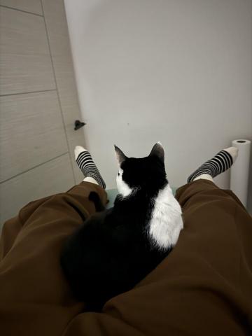 Jessie - 貓咪大都挺喜歡我的~