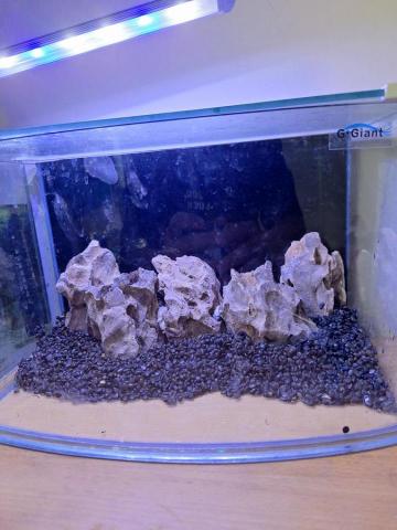 海盜水族代購 - 建議造景過程