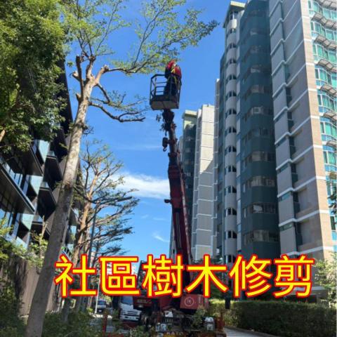 國王園藝社 劉阿嘎 - 國王園藝社
