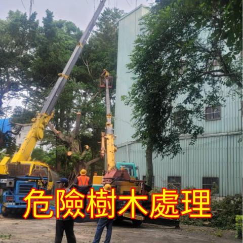 國王園藝社 劉阿嘎 - 國王園藝社