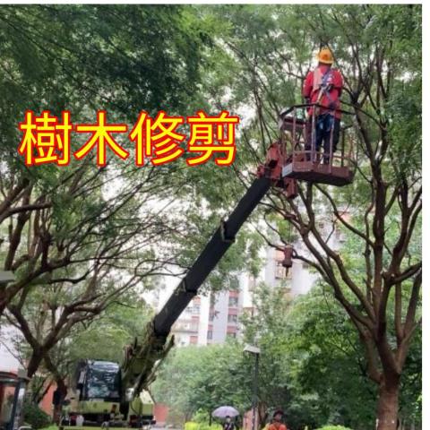 國王園藝社 劉阿嘎 - 