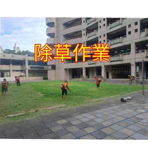 國王園藝社 劉阿嘎 - 