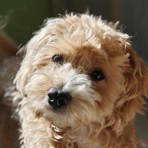 提供53服務的專家樂采妮