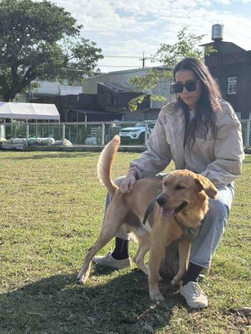 提供中文翻譯英文字典服務的專家Genny