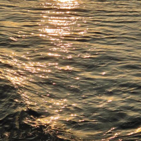 提供麻豆鼓服務的專家陳祐亮