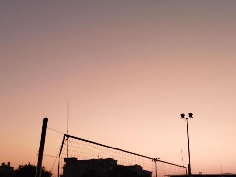 提供孫盛希服務的專家顏墨希