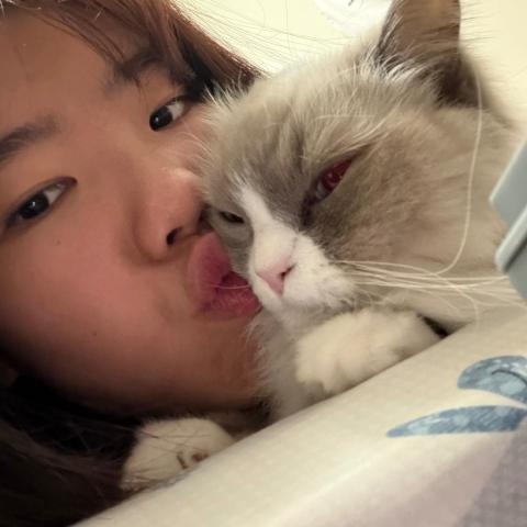 提供寄養服務的專家林可馨