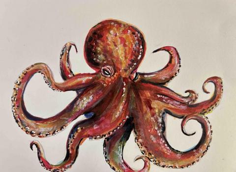YK Art - 麥克筆作品&middot;章魚