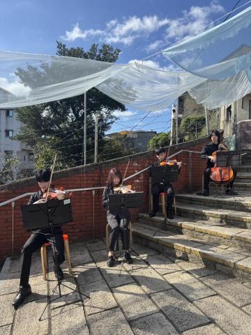 弦樂四重奏表演 - 