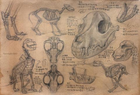 Han studio  邱柏翰 - 這類骨骼習作對我來說，不只是解剖練習，
也是在整理一套「怎麼看動物」的方法。

從頭骨、下顎、胸腔到四肢比例，
當這些關係清楚了，外型、動作和神韻會更穩

如果你想學的不是單純照圖畫，
而是理解狗的結構邏輯，
這類課程會很適合你

歡迎私訊詢問上課內容