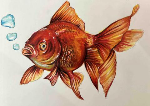 YK Art - 麥克筆作品&middot;金魚