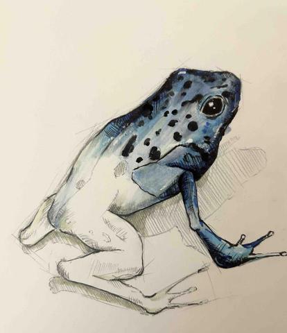 YK Art - 麥克筆作品&middot;蛙