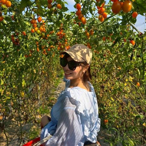 Rebecca資料處理接案