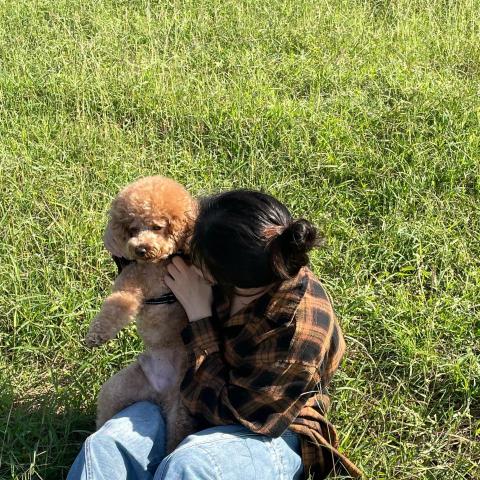 Zooe寵物保母、陪讀陪玩