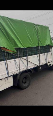 成功二手傢具 - 搬家載貨清運都可以喔