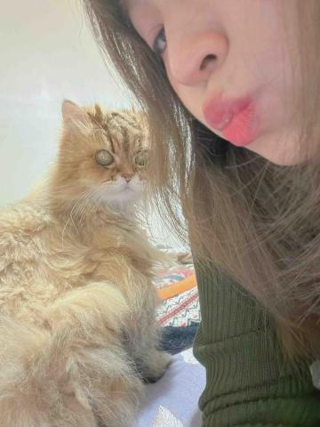 Golden - 我的另一位小朋友-女生