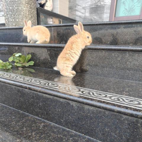 提供帆布服務的專家小型一人輸出