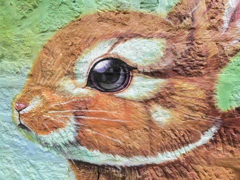 寒藝靈彩有限公司 - 里長里內街道牆面美化-細節