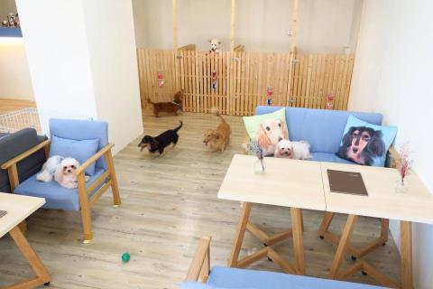 飽屋寵物美容 - 