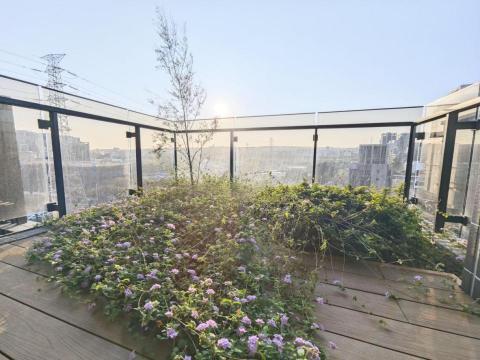 曹開宗 - 國聚之見