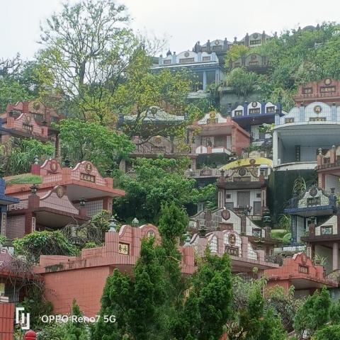 劉振興工程 居家修繕 園藝 油漆 統包 - 瑞芳區第一公墓除草樹木修剪