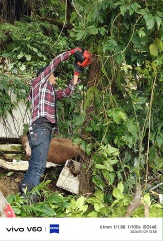 劉振興工程 居家修繕 園藝 油漆 統包 - 樹木修剪工程（施工中）