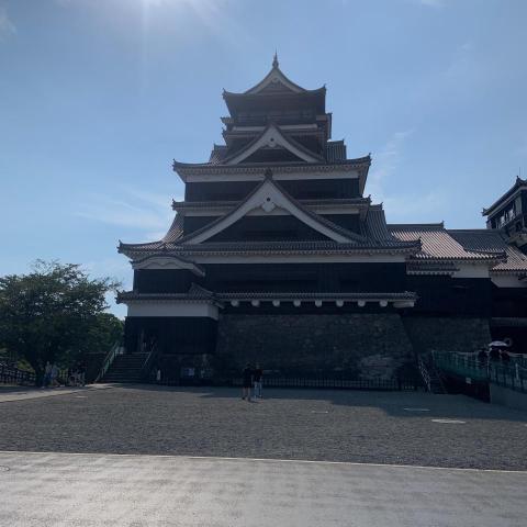 湖西寵物接送司機推薦novelty #