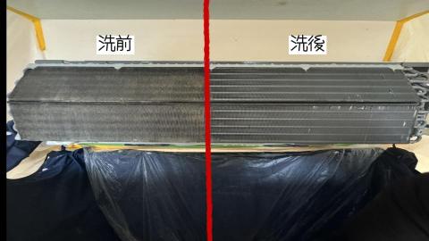 韓-ZING-冷寧 - 洗前洗後-鰭片