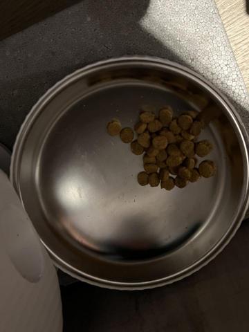 蔡蒨蒨 - 準備哪些食材、怎麼調配、給予，毛孩吃了多少等等以上紀錄並回報