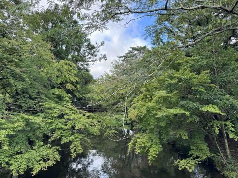 提供cad繪圖外包服務的專家沃克弗雷亞爾