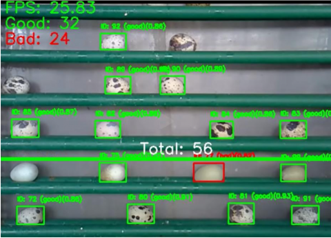 yision - 視覺辨識推論（&ldquo;計數&rdquo;與&ldquo;分類&rdquo;功能）