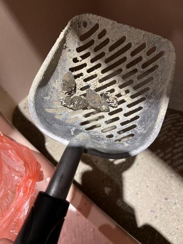 蔡蒨蒨 - 清潔紀錄並會有前後比照圖