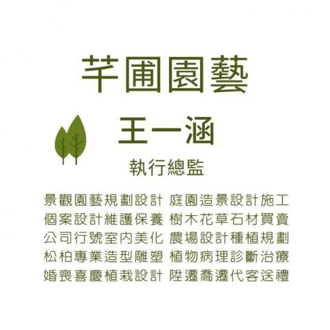 新北植物診療師推薦芊圃 園藝