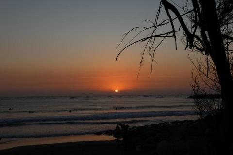 提供113學測服務的專家陳禹叡