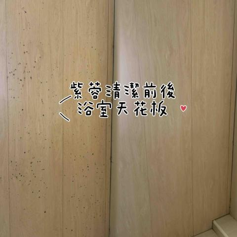 紫蓉個人清潔 - 