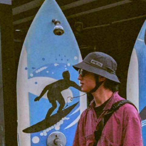 提供gemini比較服務的專家張詠翔