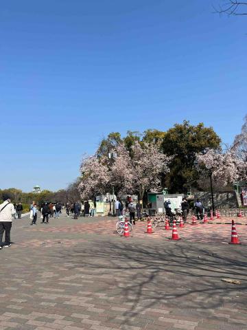 提供jlpt服務的專家nao