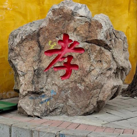 提供台中晚餐外送服務的專家JUDY