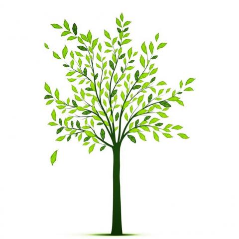 Shobha 的英文教室