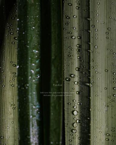 Lily Chao - 米其林甜點客戶粉絲團圖片攝影