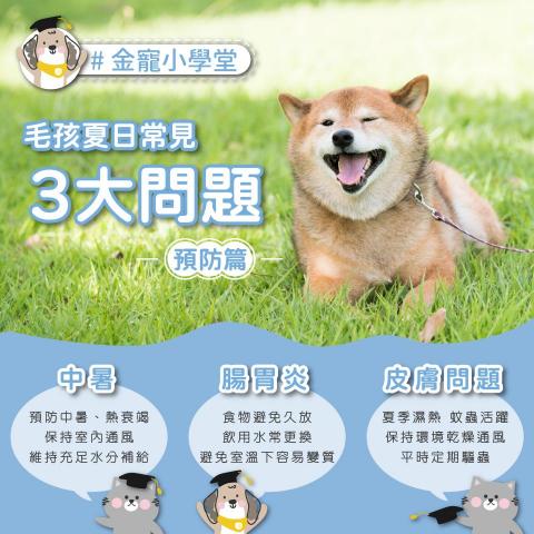 Eva Studio - 社群圖文設計